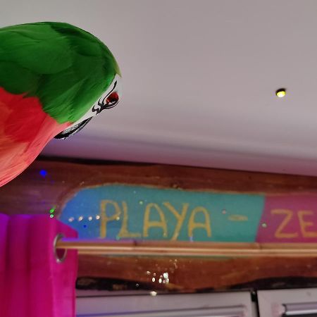 Wonder Room Paraiso Magico Habitacion 内尔哈 外观 照片